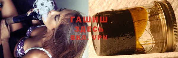 индика Алзамай
