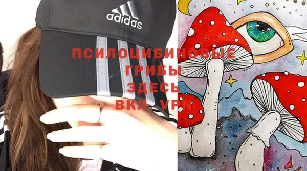 индика Алзамай