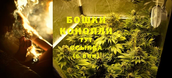 индика Алзамай