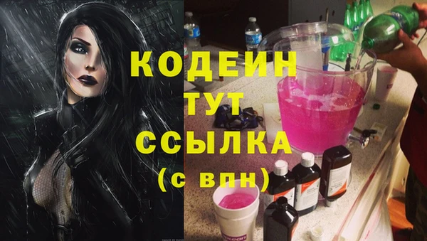 индика Алзамай
