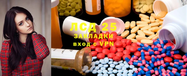 индика Алзамай
