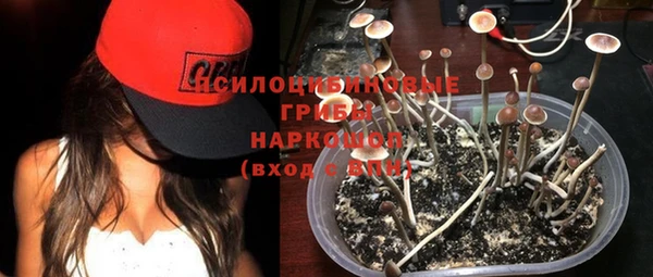 прущая мука Няндома