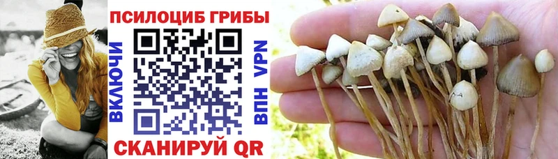 ОМГ ОМГ сайт  Сельцо  Галлюциногенные грибы Psilocybe 